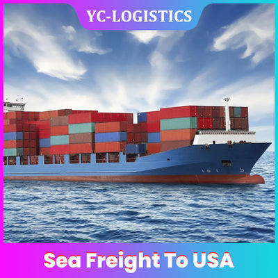 Transporte do mar da CORRENTE DE RELÓGIO de DDP EXW de China à reembalagem profissional dos EUA
