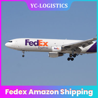 Transporte das Amazonas do FBA Fedex