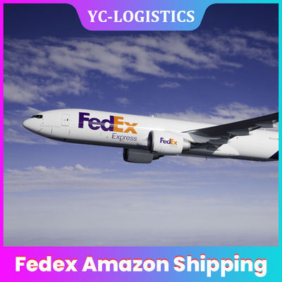 Porta ao transporte rápido das Amazonas da entrega EY TK onça Fedex da porta