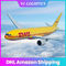 Transporte do ar da entrega LCL DHL do dia, porta de DDP DHL ao serviço internacional da porta