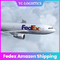 Ar experiente de envio das Amazonas de Profesional Fedex à porta de Marrocos Ddp à porta